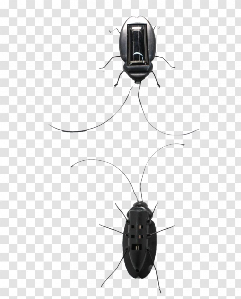 Cockroach Toy April Fools Day - Technology - Fool 's Solar Cockroot Tricky Toys Transparent PNG