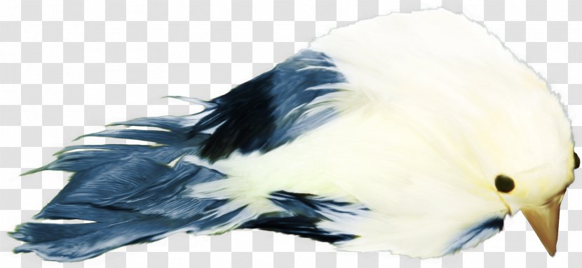 Bird Download Gratis - Blue - Cute Transparent PNG