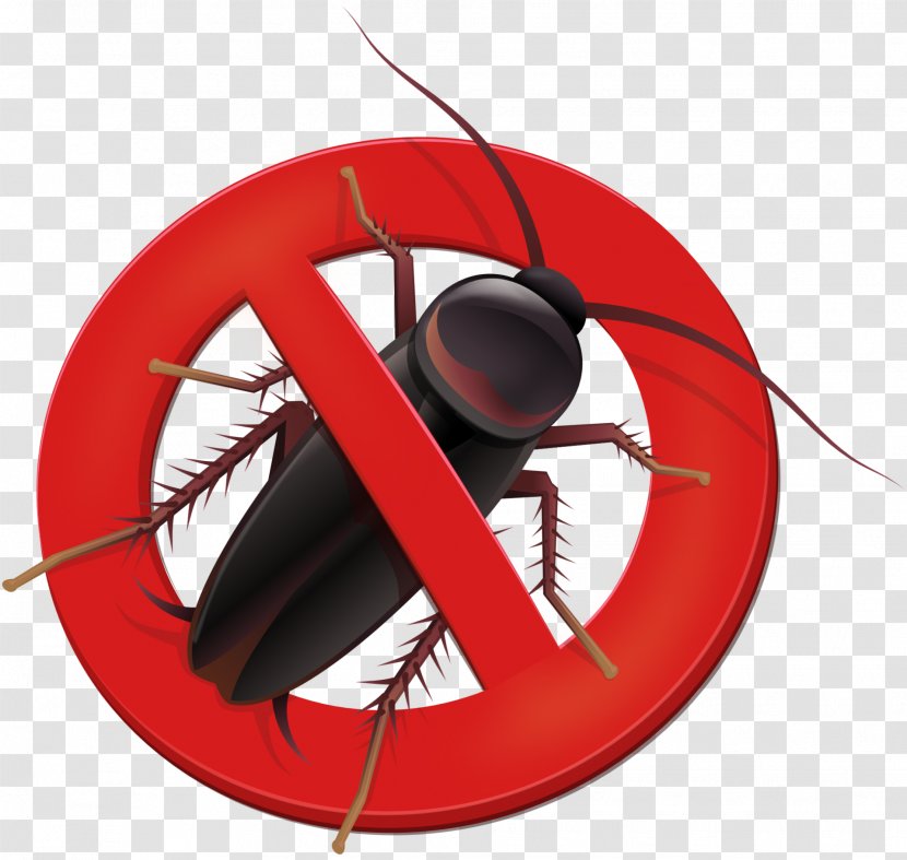 La Cucaracha 2k13 Dj Som & The Breros Pest Control Technology System - Cockroach Transparent PNG
