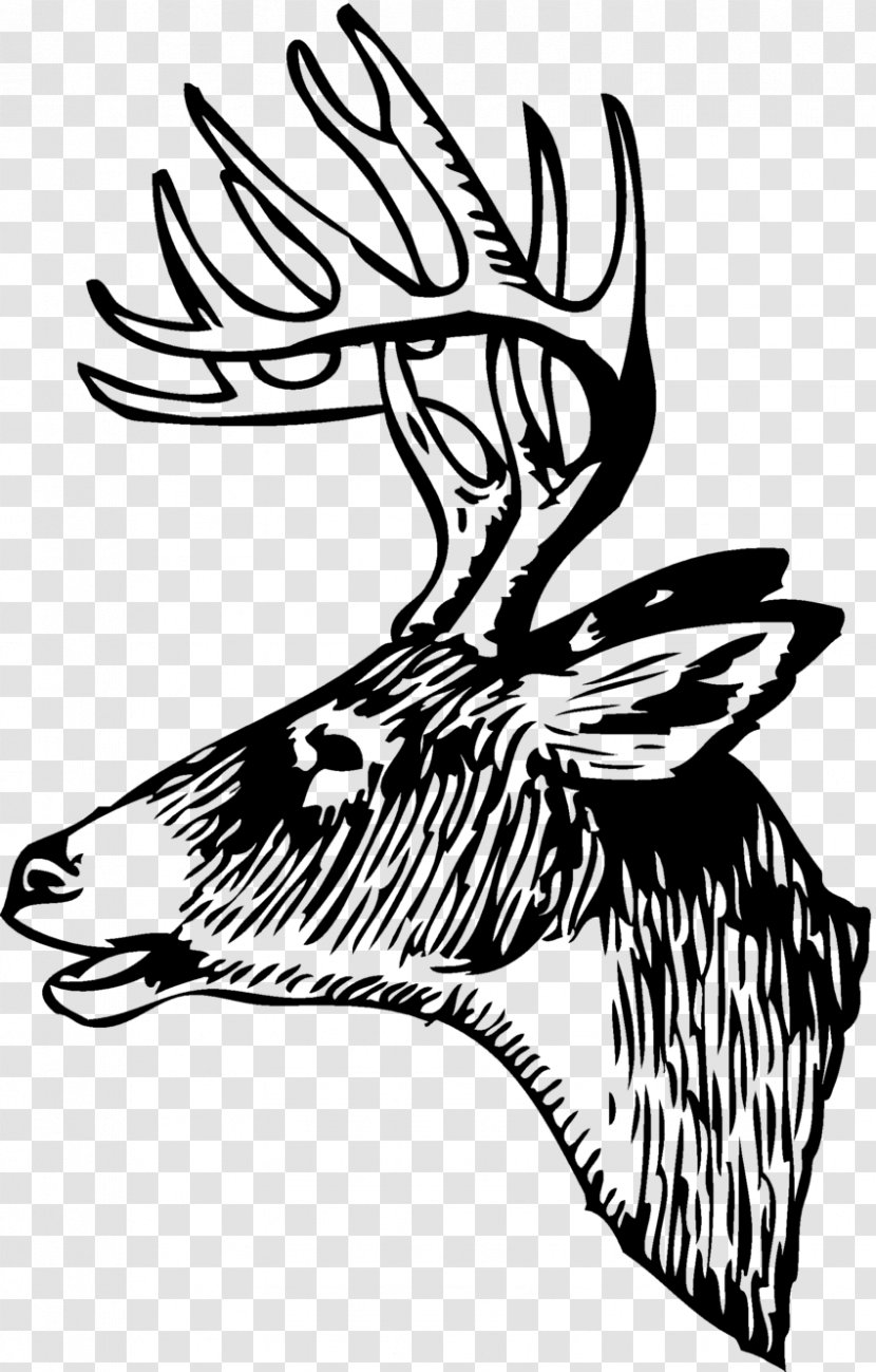 White-tailed Deer Red Elk Clip Art - Seneca White - Hunting Transparent PNG