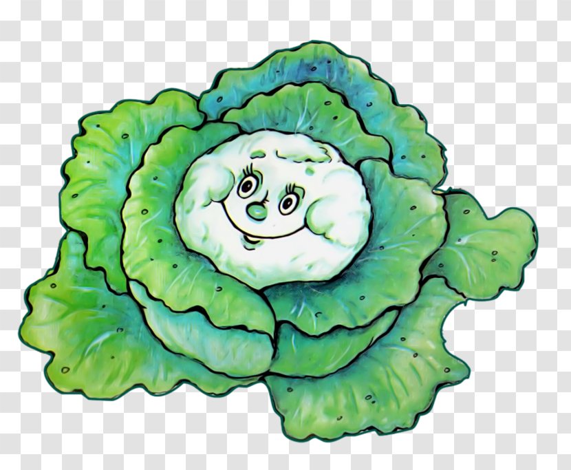 Cabbage Drawing Leaf Vegetable Clip Art - Plant - Hand-painted Transparent PNG