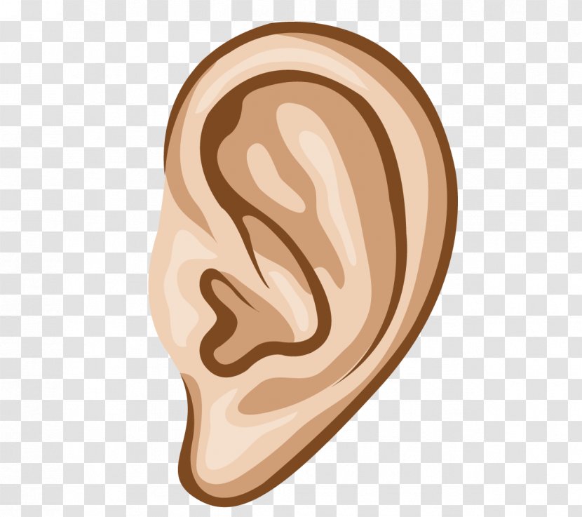 Hearing Euclidean Vector Sense - Frame - Cartoon Ear Site Transparent PNG