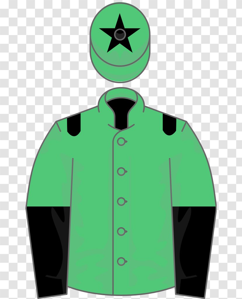 Thoroughbred Horse Trainer Racing Blue Wind Wikipedia - Mr Natural - Ownership Transparent PNG
