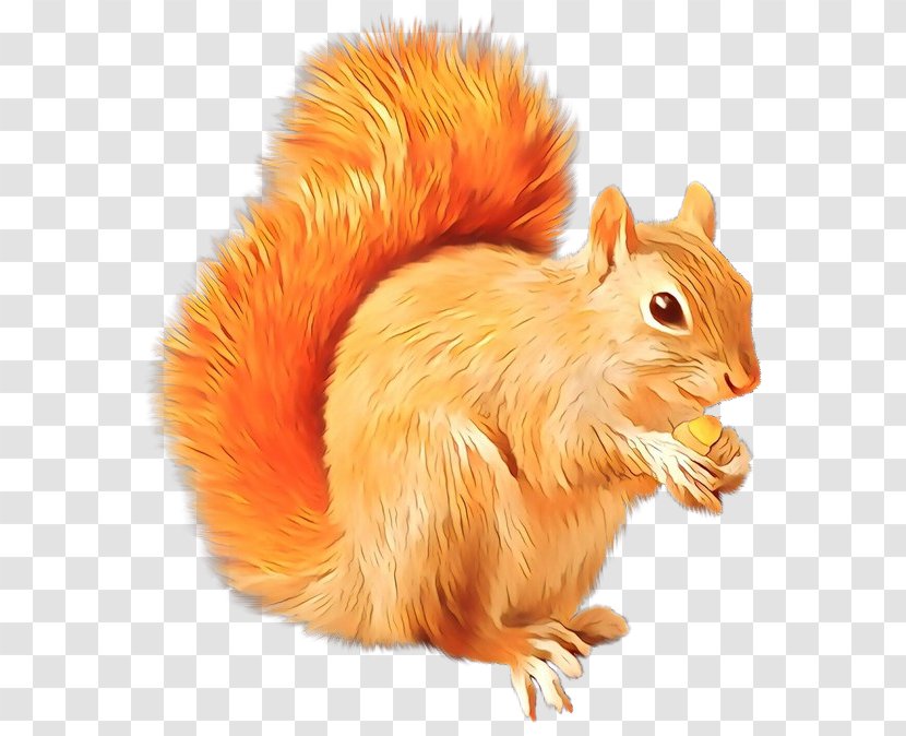 Scrat Squirrel Sid Clip Art - Ice Age The Meltdown - Rodent Transparent PNG