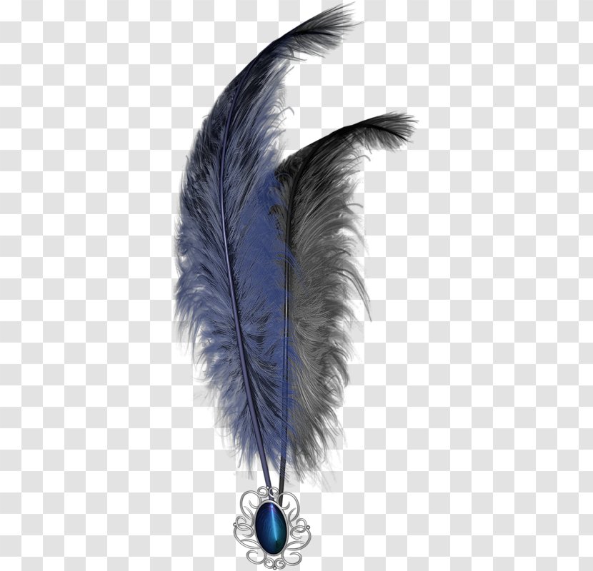 Feather Blog Download Clip Art Transparent PNG