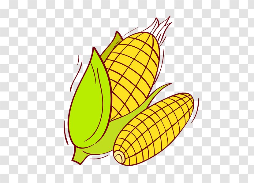 Corn On The Cob Sweet Corncob White - Royaltyfree Transparent PNG