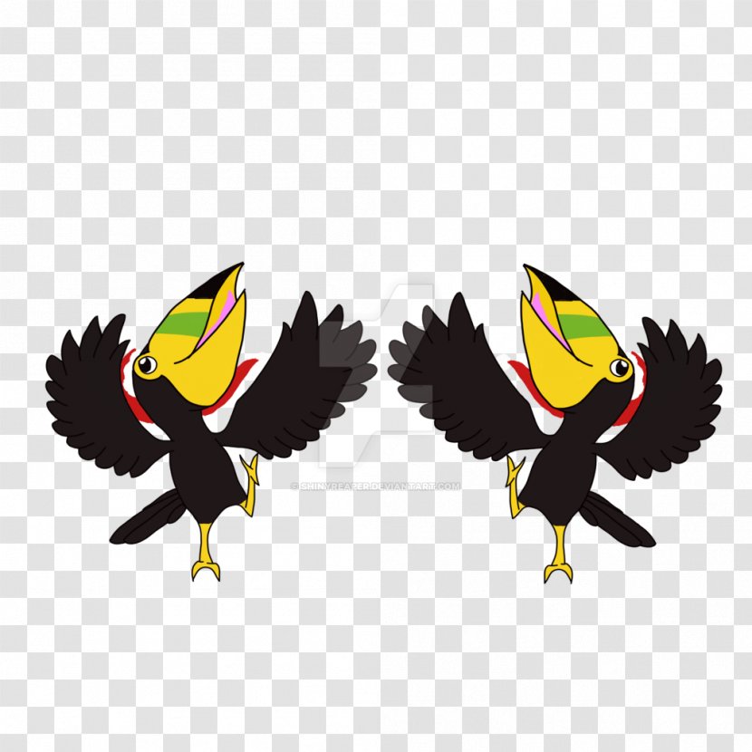 Bird Vertebrate Insect - Animal - Toucan Transparent PNG