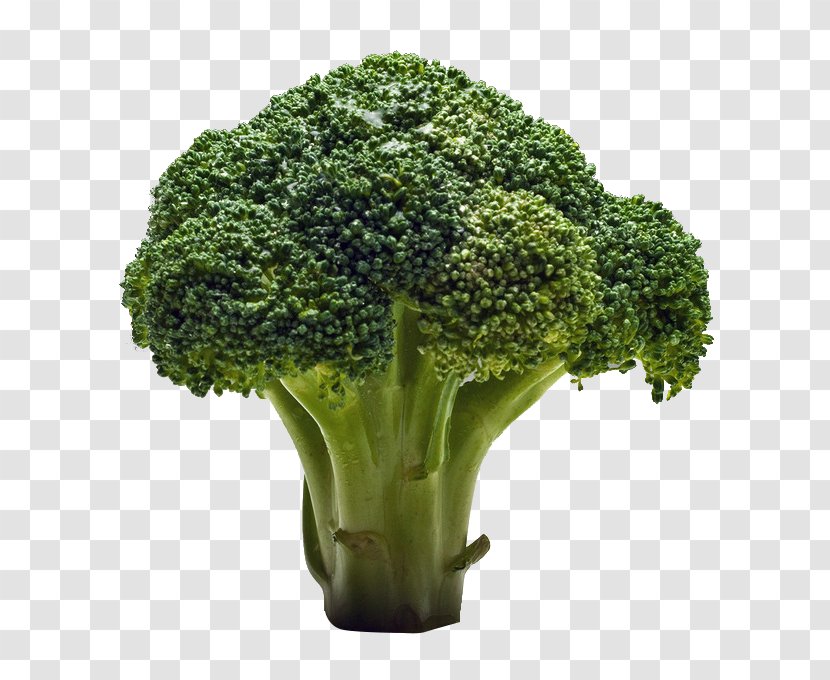 Broccoli Raw Foodism Fruit Salad Vegetable - Eating - Fresh Fruits And Vegetables,broccoli Transparent PNG