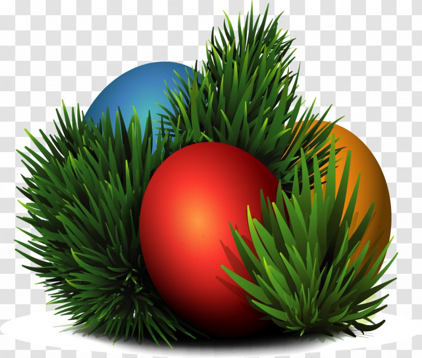 Easter Egg - Vegetable - Vector Hand-painted Eggs Transparent PNG