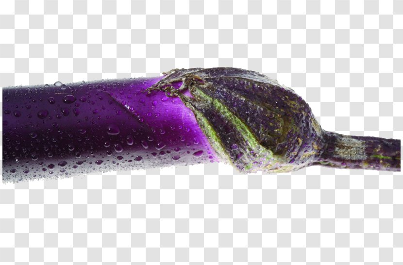 Eggplant Vegetable Drop - With Water Drops Transparent PNG