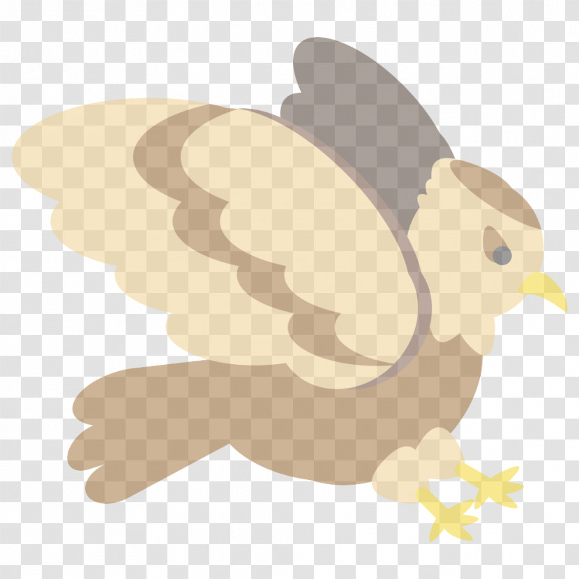 Owls Hare Birds Beak Toucans Transparent PNG