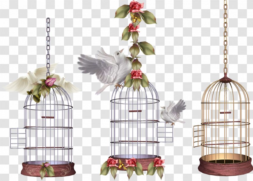 Lovebird Parrot Birdcage - Bird Cage Transparent PNG