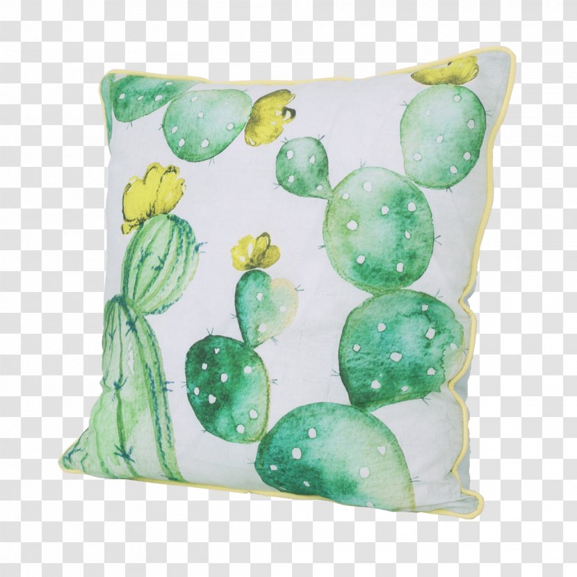Notebook Throw Pillows Cushion Paperback Cactaceae - Broschur Transparent PNG
