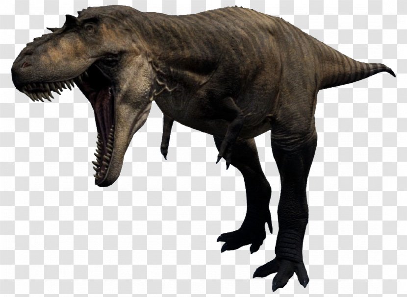 Albertosaurus Tyrannosaurus Velociraptor Carcharodontosaurus Stygimoloch Transparent PNG