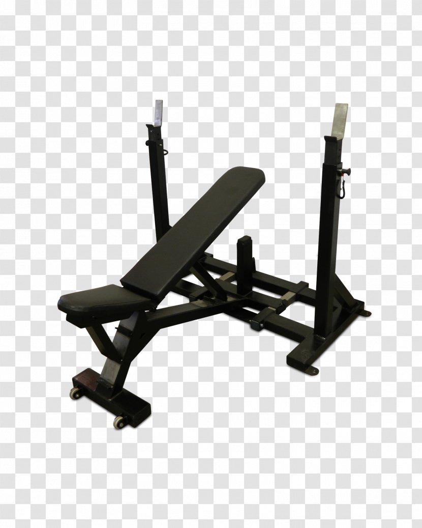 Bench Press Fitness Centre Row Crunch - Tree Transparent PNG