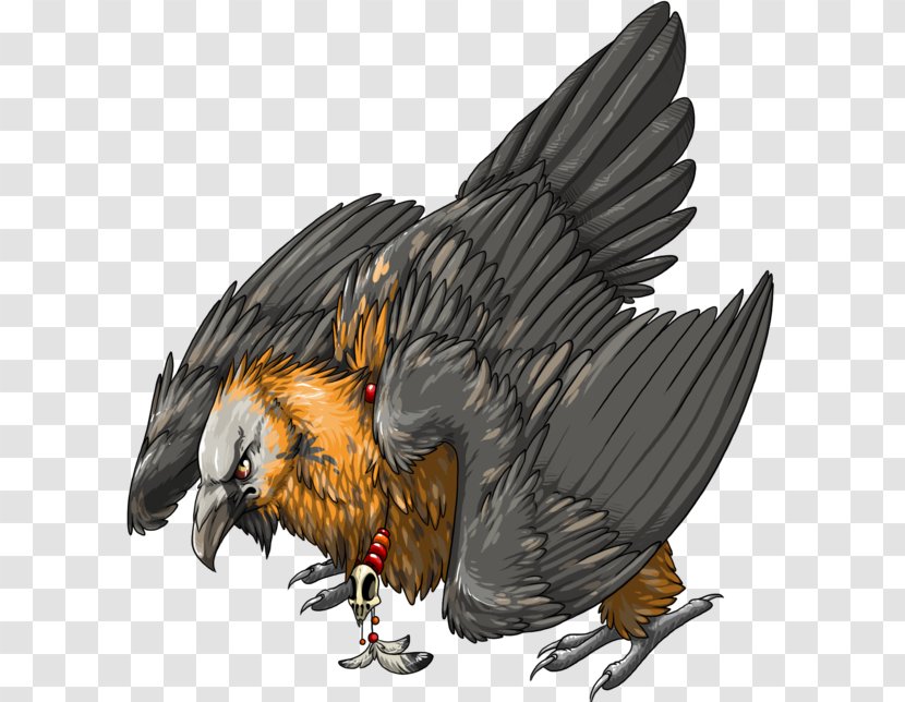 Bearded Vulture Art Drawing Eagle - Bird Of Prey Transparent PNG