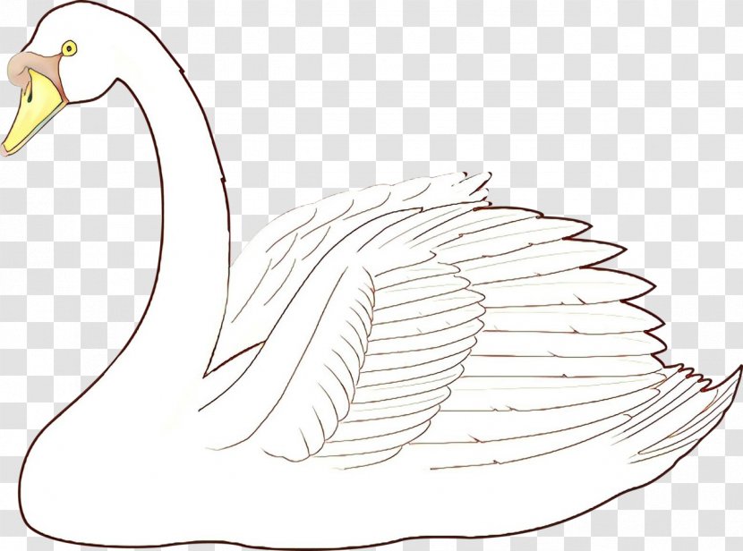 Bird Line Drawing - Wing Tail Transparent PNG