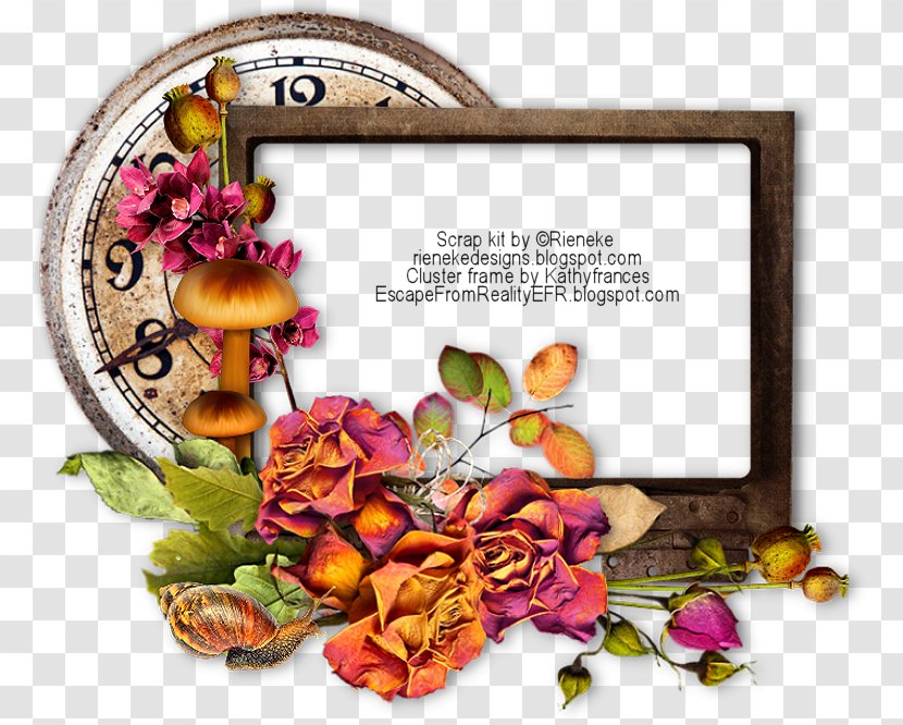 Picture Frames Floral Design Spice - Com Transparent PNG