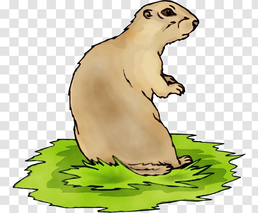 Groundhog Day - Mustelidae - Mustelinae Transparent PNG