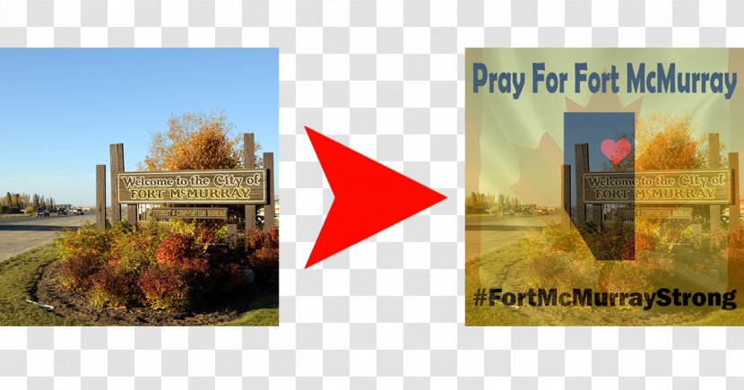 Fort McMurray Advertising Painting Tourism - Stock Photography Transparent PNG