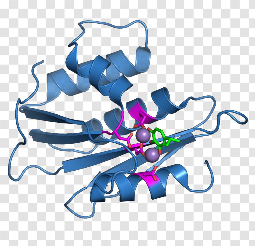 Retroviral Ribonuclease H Reverse Transcriptase Endoribonuclease - Rna - Retrovirus Transparent PNG