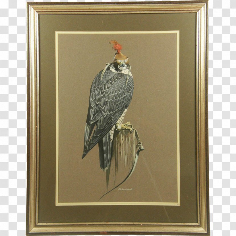 The Birds Of America Painting Art Printmaking - Work - Bird Transparent PNG