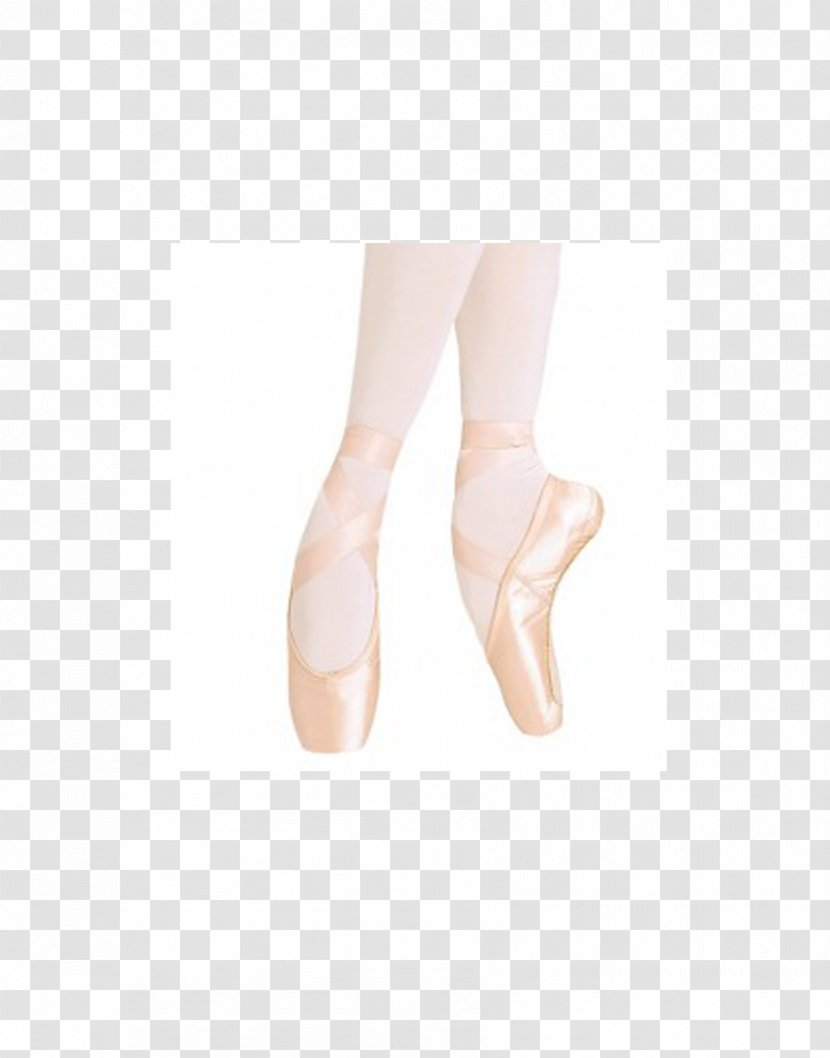 Pointe Shoe Ankle Technique Calf - Watercolor - Tree Transparent PNG