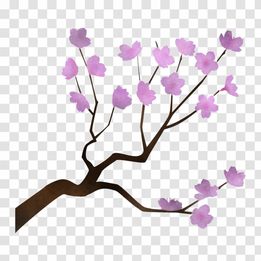 Branch Flower Plant Purple Violet - Lilac - Twig Blossom Transparent PNG