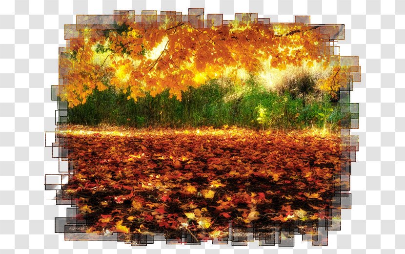 Desktop Wallpaper Autumn 1080p - Highdefinition Video - Landscape Paintings Transparent PNG