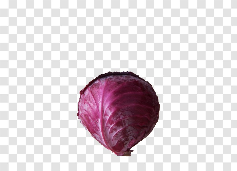 Red Cabbage Juice Savoy Organic Food - Purple Transparent PNG