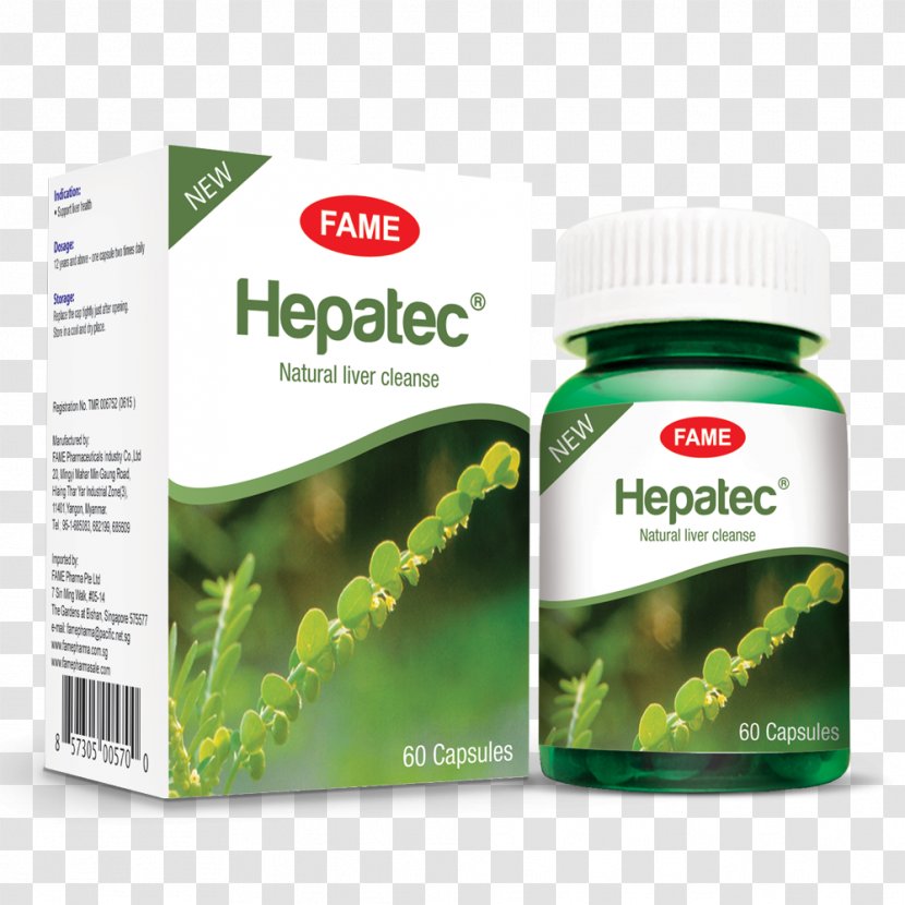 Dietary Supplement Herbalism Pharmaceutical Drug MedlinePlus - Pharmacy - Health Transparent PNG
