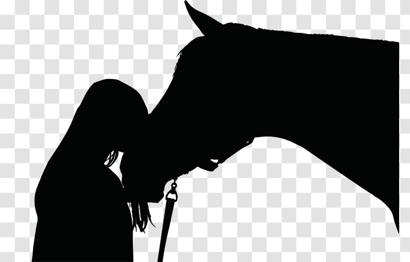 Horse Silhouette Equestrian Female Clip Art - Monochrome - Pet Vector Transparent PNG