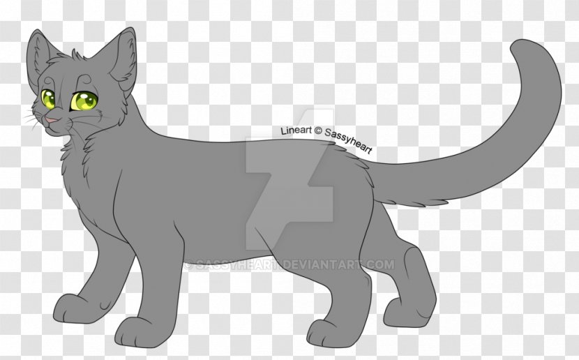 Whiskers Korat Kitten Domestic Short-haired Cat Canidae - Fictional Character Transparent PNG