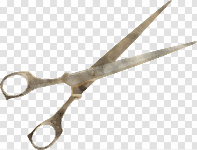 Scissors Surgical Instrument Cutting Tool Hair Shear Shear Transparent PNG