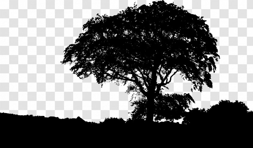 Silhouette Landscape Nature Drawing - Black And White Transparent PNG