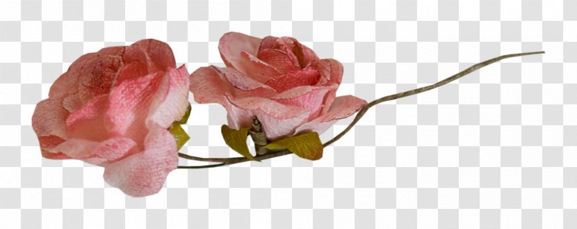 Garden Roses Pink Nosegay Flower - White - Administrador Transparent PNG