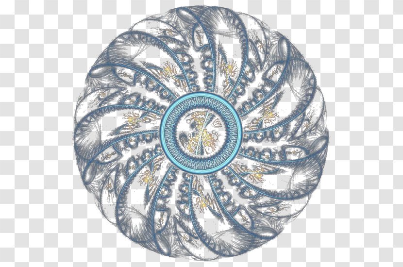 Blue Google Images Download Flower - Circle Transparent PNG