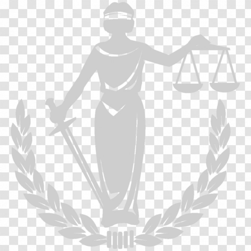 United States Lady Justice Lawyer - Human Body - Economy Transparent PNG