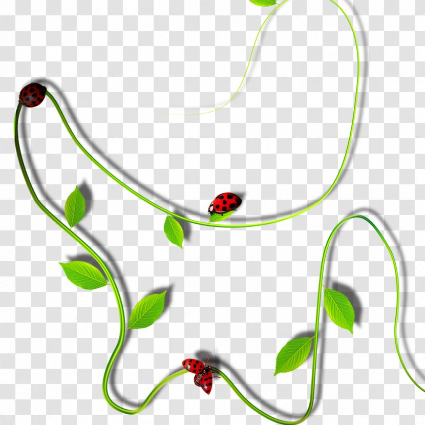 Plant Vine Clip Art - Gratis Transparent PNG