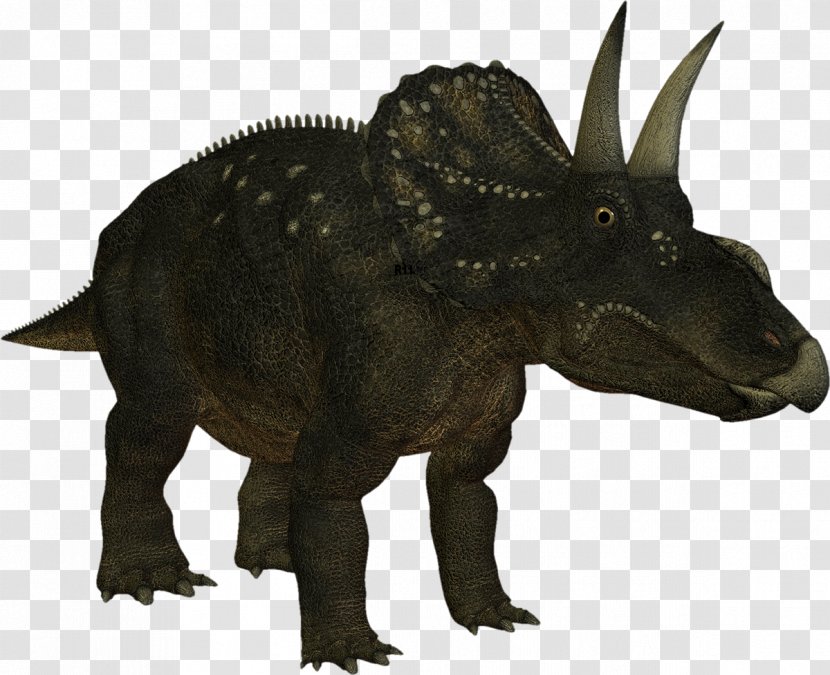 Spinosaurus Tyrannosaurus Triceratops Horridus Dinosaur Ceratopsidae - Stock Photography Transparent PNG