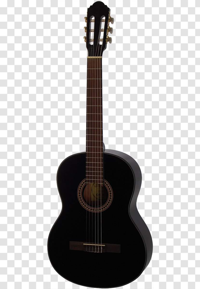 Steel-string Acoustic Guitar Acoustic-electric - Flower Transparent PNG