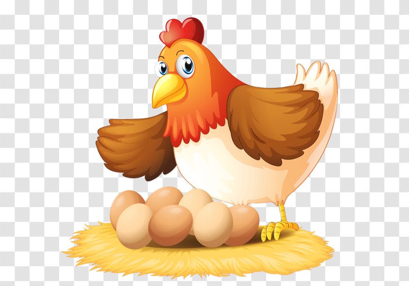 Chicken Clip Art - Bird - Hen And Eggs Transparent PNG