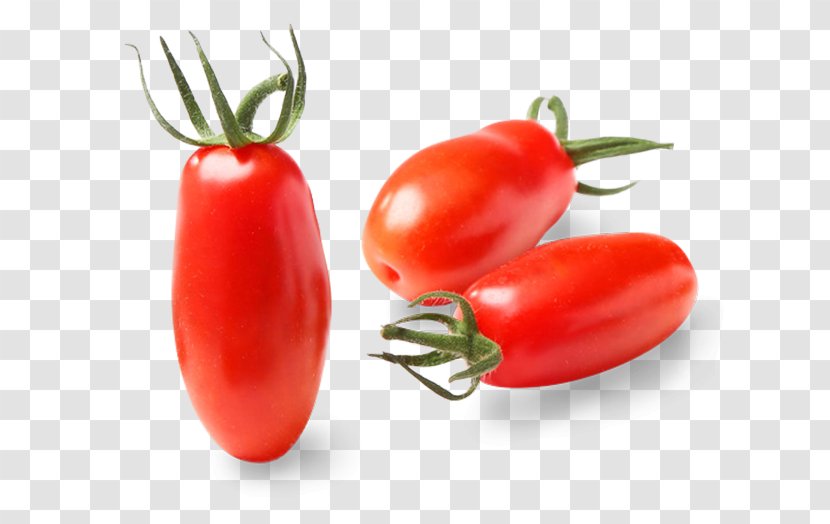 Plum Tomato Bush San Marzano Piquillo Pepper Food - Red - Cherry Transparent PNG
