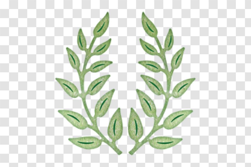 Olive Branch Cheery Lynn Designs Paper Die - Commodity - Branches Transparent PNG