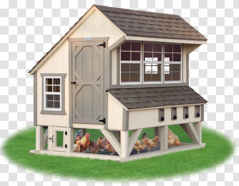 Chicken Coop Building Farm Poultry - Backyard - Stairs Transparent PNG