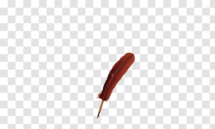 Red Feather - Maroon - Figure Transparent PNG