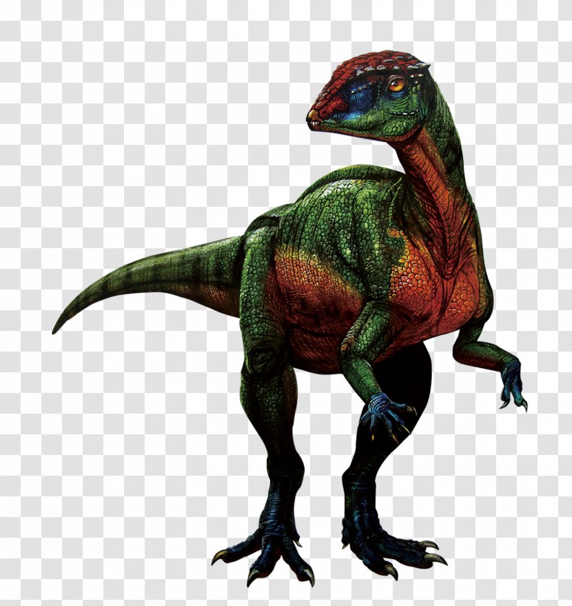 Tyrannosaurus Velociraptor Ankylosaurus Triceratops Nanotyrannus - Extinction - Ancient Dinosaur Transparent PNG