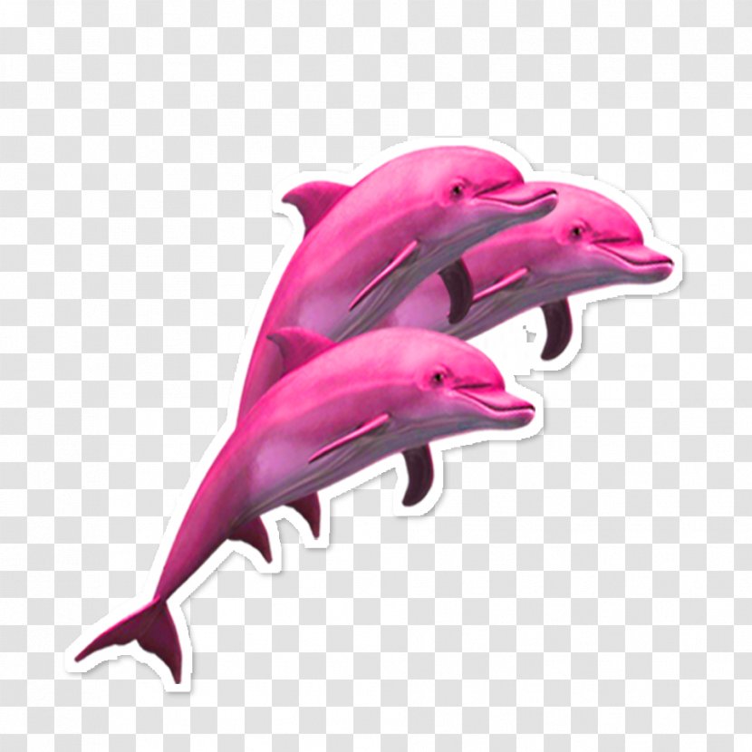 Dolphin Porpoise Sticker Adhesive Transparent PNG