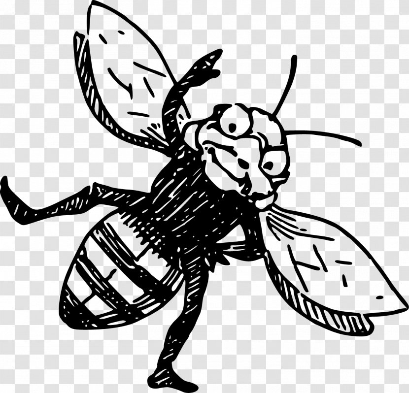 Honey Bee Wasp Illustration - Monochrome Photography - Vector Painted Transparent PNG