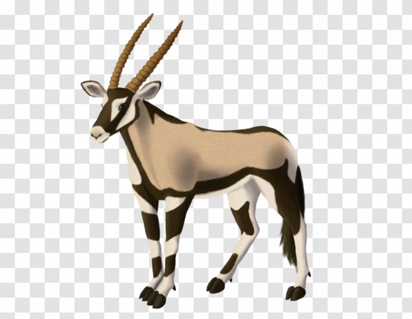 Gemsbok Antelope Gazelle Horn Even-toed Ungulates - Eventoed Transparent PNG